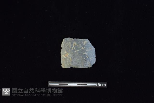 矛鏃形器藏品圖，第1張