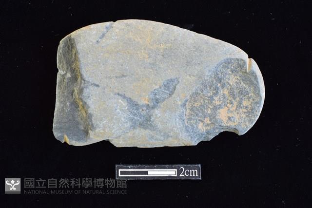 網墜藏品圖，第1張