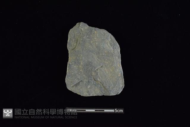 戈形器藏品圖，第1張