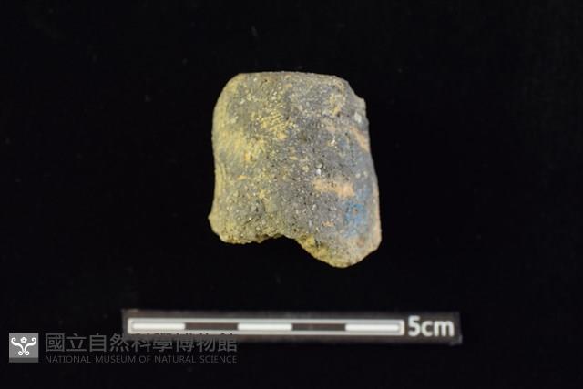 陶蓋及陶蓋鈕藏品圖，第1張