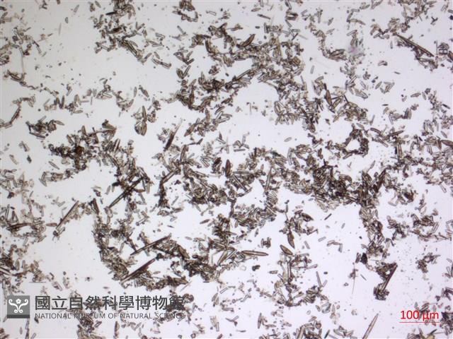 登錄號:A00004608藏品圖，第2張