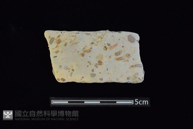 陶片藏品圖，第1張