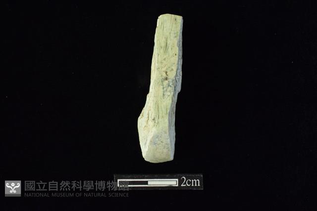 錛鑿形器藏品圖，第1張