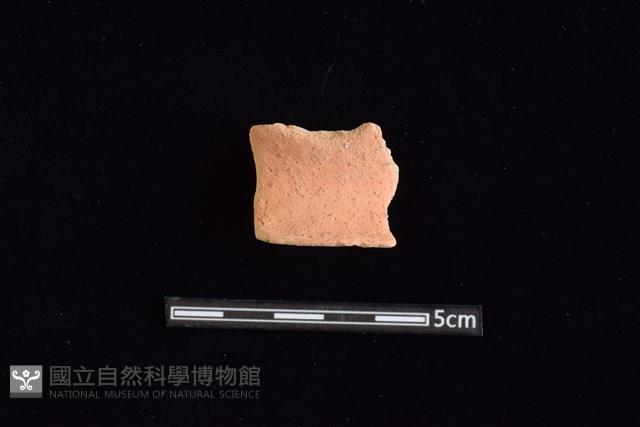 陶罐藏品圖，第1張