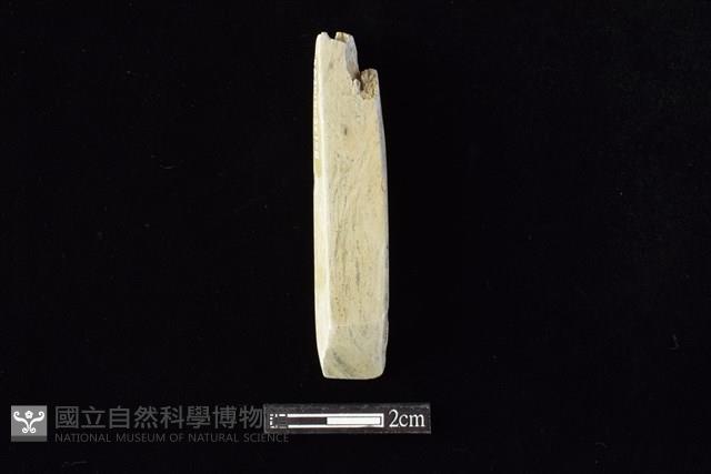 錛鑿形器藏品圖，第1張