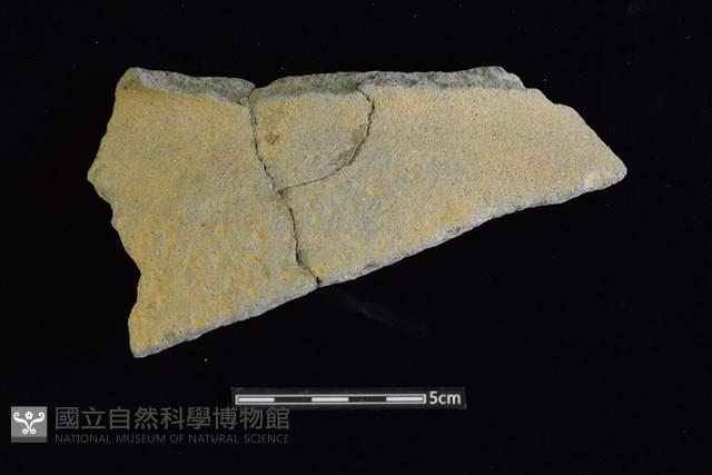 陶罐藏品圖，第1張