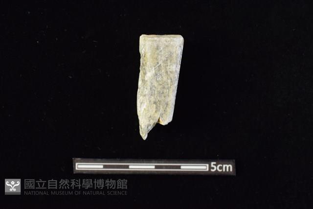 錛鑿形器藏品圖，第1張