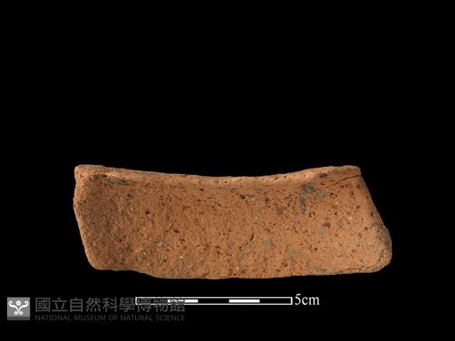 陶片藏品圖，第2張