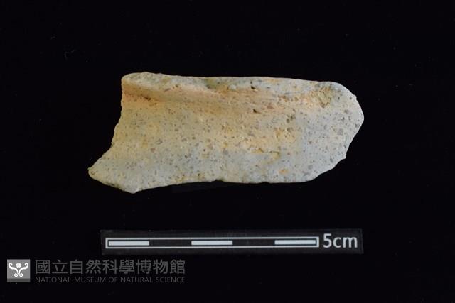 陶罐藏品圖，第1張