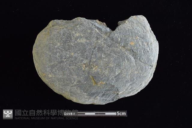 穿孔石板藏品圖，第1張