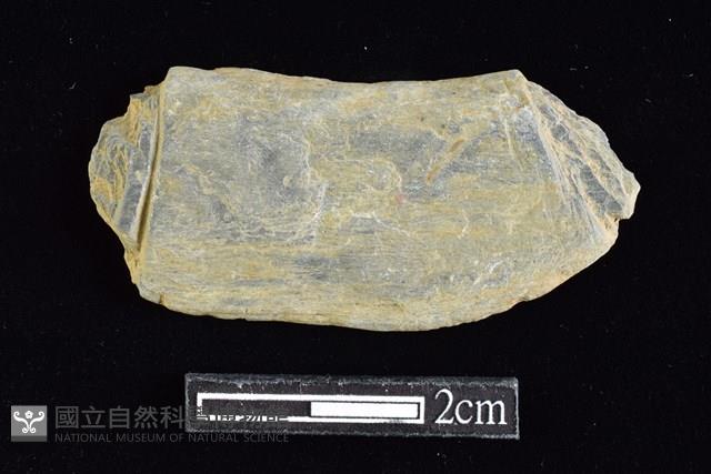 網墜藏品圖，第1張