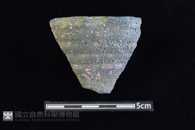 陶罐藏品圖，第1張