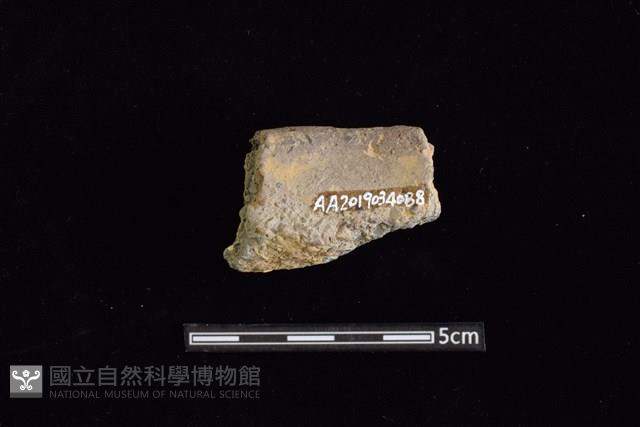 陶罐藏品圖，第2張