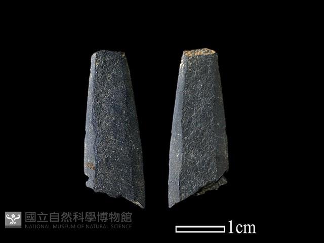 Accession Number:BY-2017-0088 Collection Image