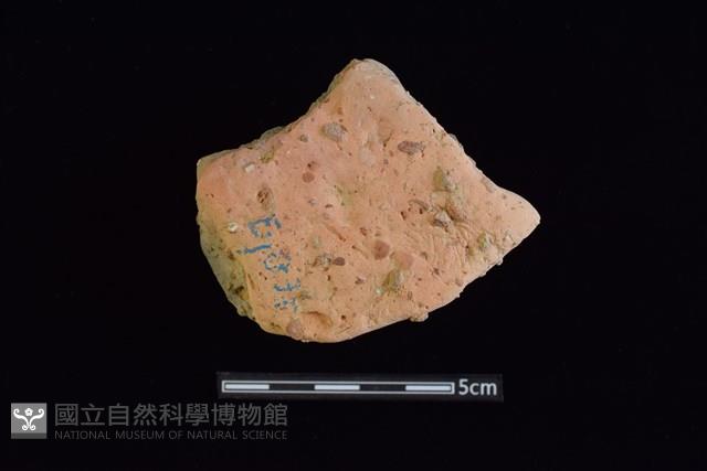 陶片藏品圖，第1張