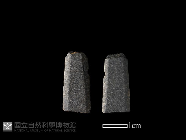 矛鏃形器藏品圖，第1張