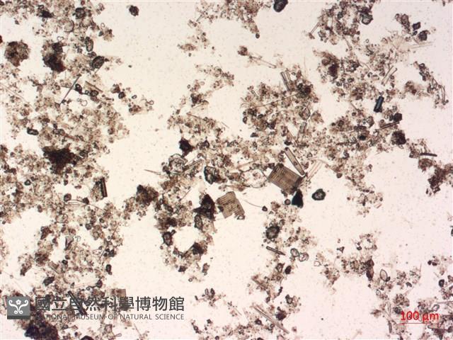 登錄號:A00004488藏品圖，第2張