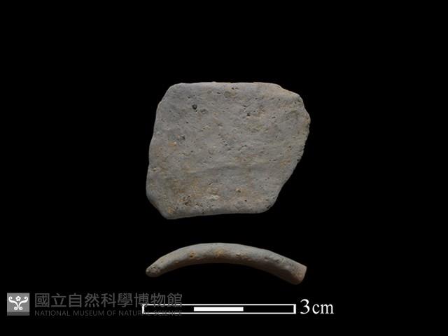 陶環藏品圖，第1張