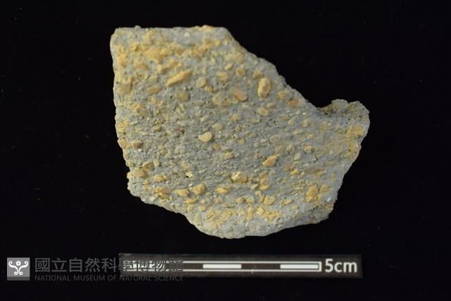 陶罐藏品圖，第1張