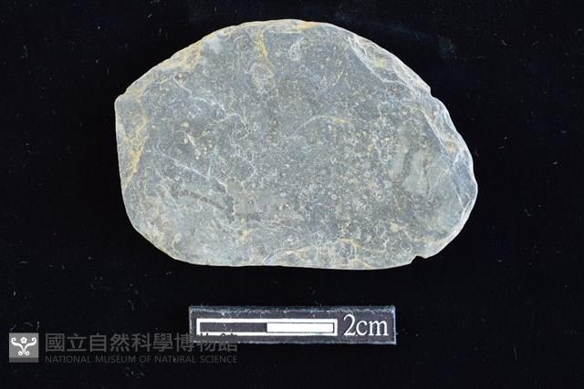 網墜藏品圖，第1張