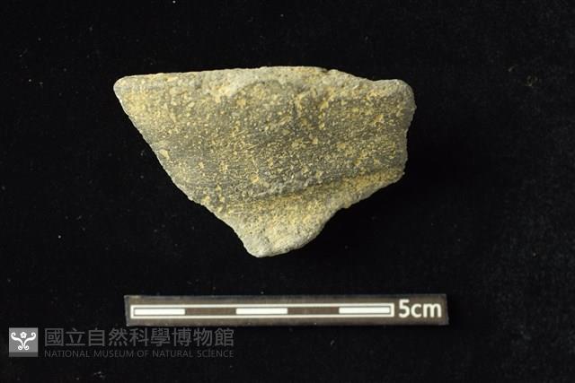 陶罐藏品圖，第1張