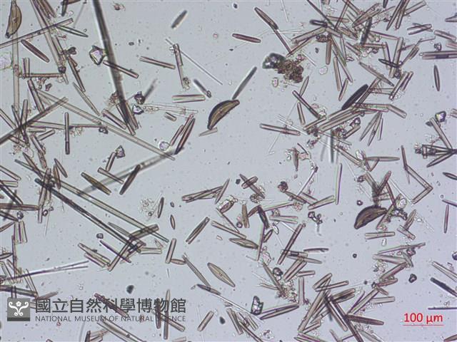 登錄號:A00004639藏品圖，第2張