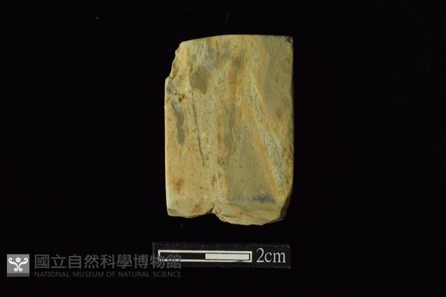 錛鑿形器藏品圖，第1張
