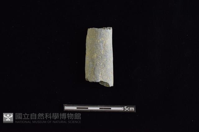 石鎚藏品圖，第1張