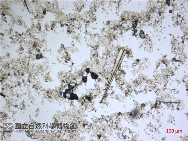 登錄號:A00004539藏品圖，第2張