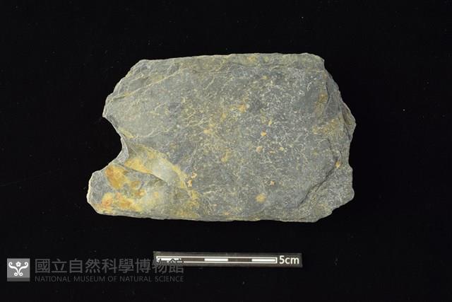 石材藏品圖，第1張