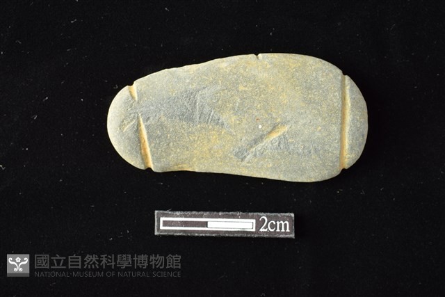 網墜藏品圖，第1張