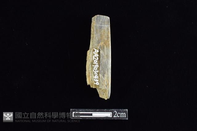 錛鑿形器藏品圖，第1張