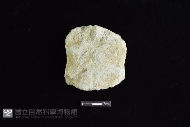 斧鋤形器藏品圖，第1張