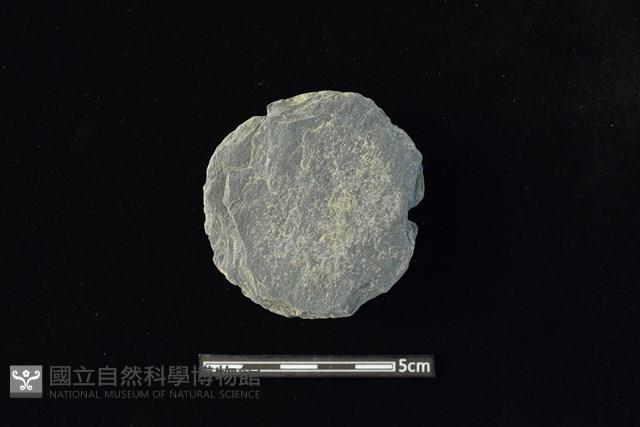 石圓片藏品圖，第1張