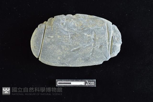 網墜藏品圖，第1張