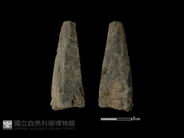 矛鏃形器藏品圖，第1張