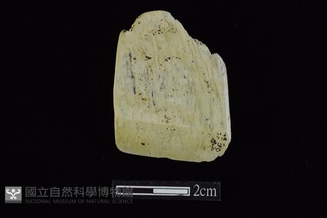 錛鑿形器藏品圖，第1張