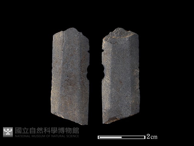 矛鏃形器藏品圖，第1張