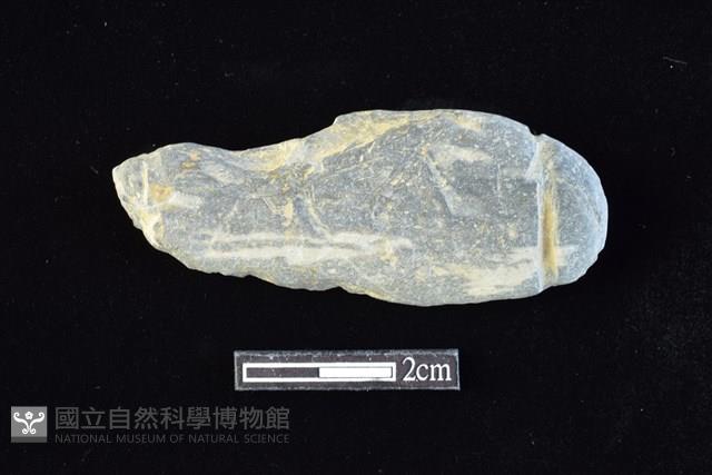 網墜藏品圖，第1張