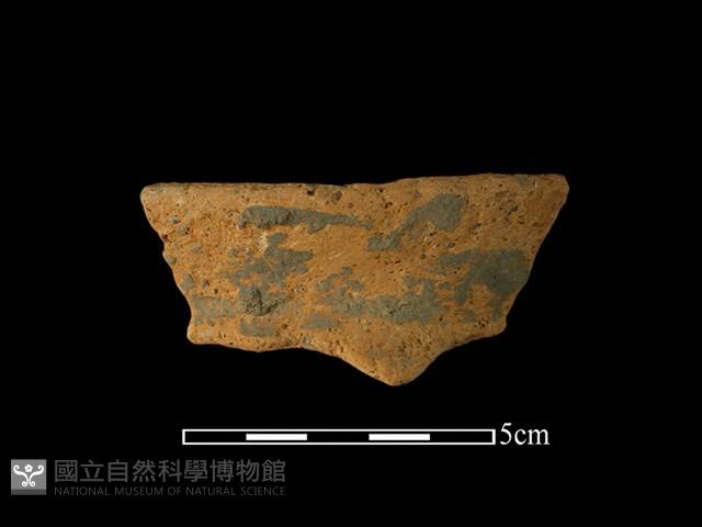 陶罐藏品圖，第1張