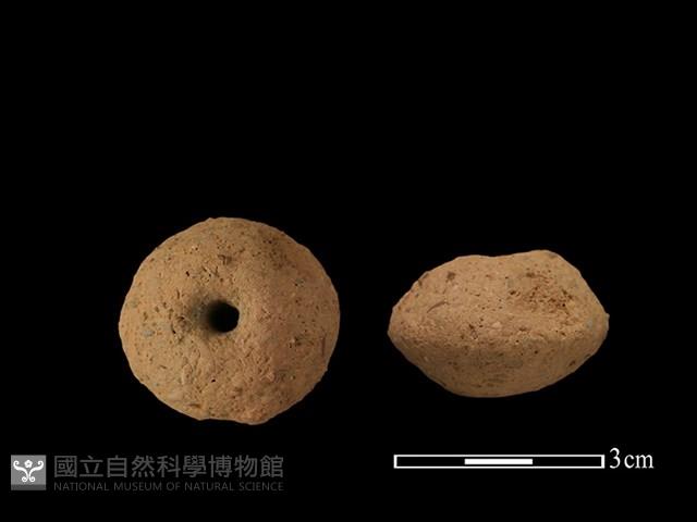 紡輪藏品圖，第1張