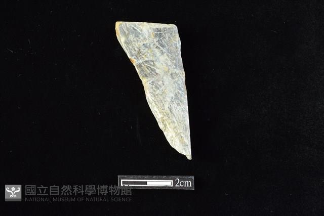 錛鑿形器藏品圖，第1張