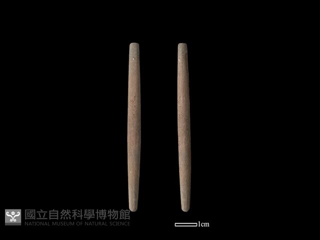 石針藏品圖，第1張