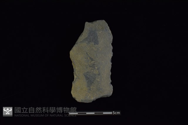 戈形器藏品圖，第1張