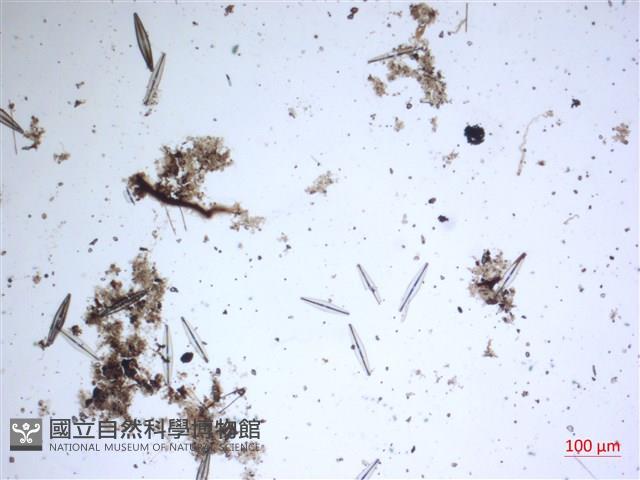 登錄號:A00004629藏品圖，第2張