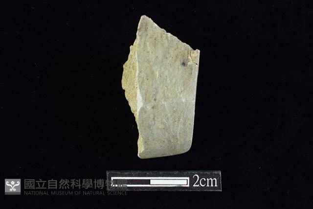 錛鑿形器藏品圖，第1張