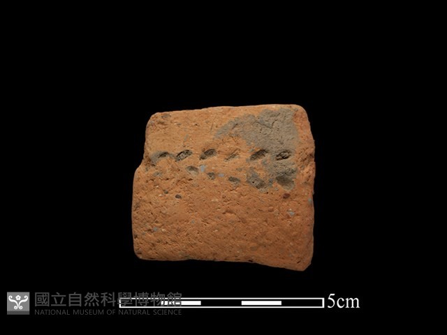 陶把藏品圖，第1張