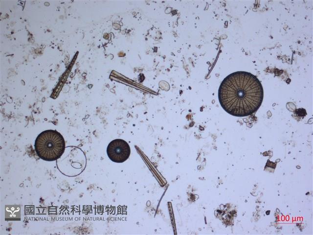登錄號:A00004529藏品圖，第2張