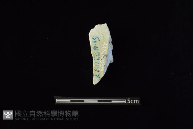 玉料藏品圖，第1張