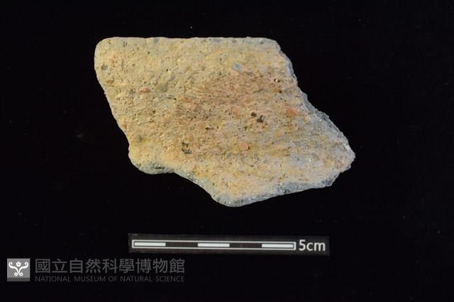 陶罐藏品圖，第1張